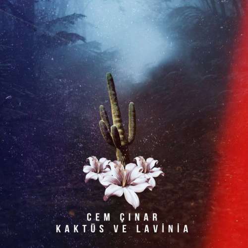 Kaktüs ve Lavinia